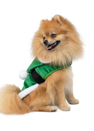 Новорічна попона для собак pet fashion santa зелена розмір xs2 фото