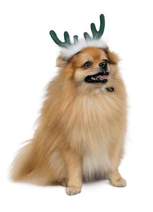 Новорічний аксесуар для собак ріжки pet fashion deer зелені розмір m-l2 фото