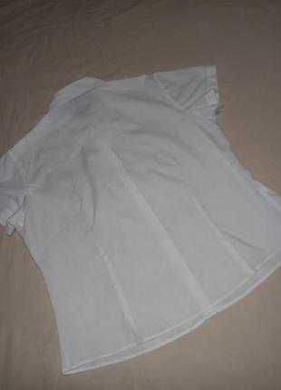 Брендовая базовая белая блуза блузка рубашка рубашка с коротким рукавом9 фото
