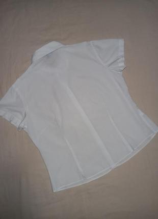 Брендовая базовая белая блуза блузка рубашка рубашка с коротким рукавом8 фото