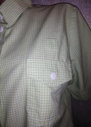 Салатова вільна натуральна бавоняна сорочка з коротким рукавом в клітинку оверсайз6 фото