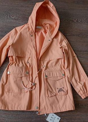 Ветровка демисезонная