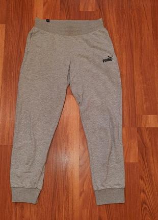 Мужские серые спортивные штаны Night puma