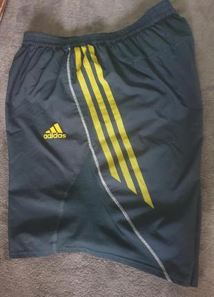 Бігові шорти 7 inch adidas adizero