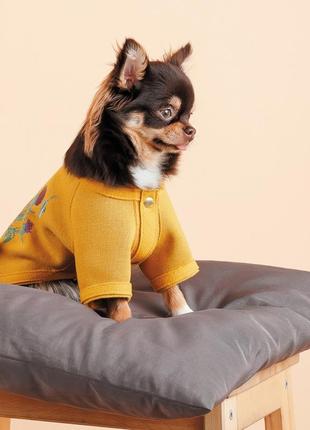 Кардиган для собак pet fashion denis жовтий розмір xs4 фото