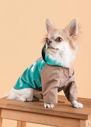 Дощовик для собак pet fashion semmy розмір xs-26 фото