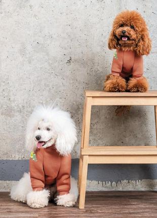 Толстовка для собак pet fashion miley розмір s5 фото