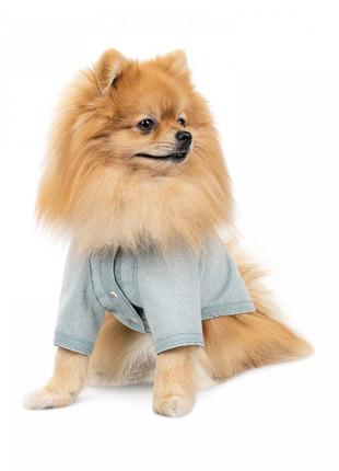 Кардиган для собак pet fashion denis м`ятний розмір xs-22 фото