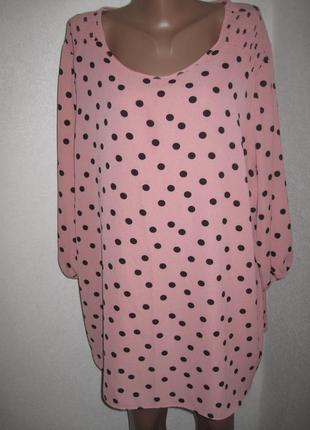 Пудровая блуза в горох папайа р-р281 фото