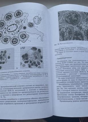 Учебник по гистологии2 фото