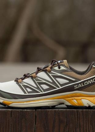 Salomon xt-6 expanse brown2 фото