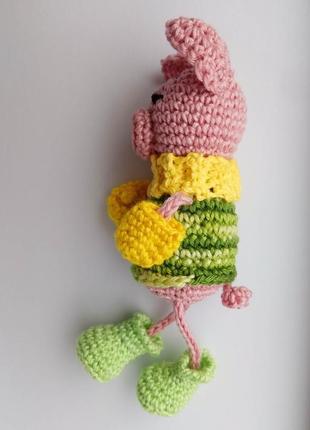 Свиня в різнобарвному светрі, рукавицях і валянках2 фото