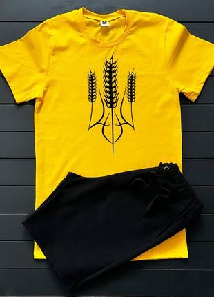 Спортивные комплекты футболка + шорты &lt;unk&gt; комплекты мужской на весну1 фото