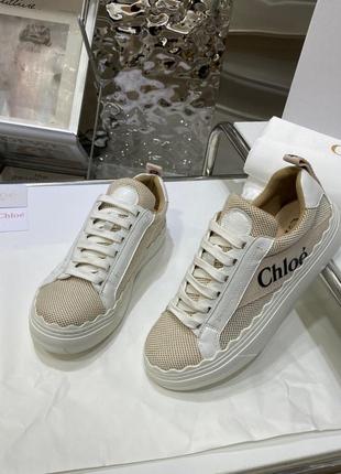 Кеды в стиле chloe2 фото