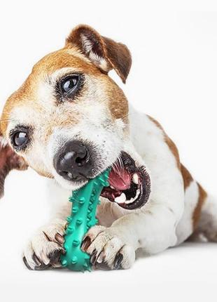 Резиновая кость для чистки зубов у собак, устойчивая к укусам.6 фото