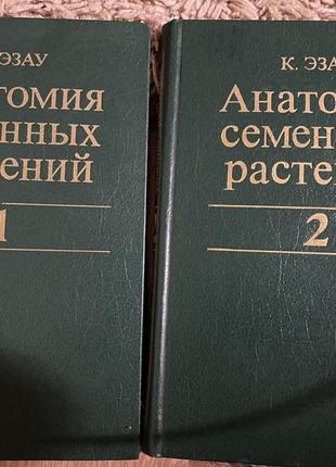 Анатомія насіннєвих рослин1 фото