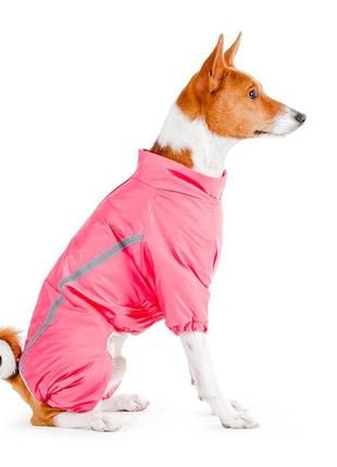 Дождевик collar для собак, m 48 (бультерьер, шарпей, стафф) розовый3 фото