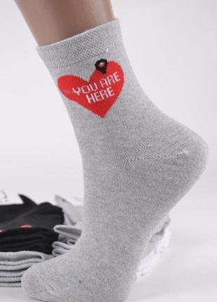 Шкарпетки шкарпетки жіночі жіночі з малюнком бавовна 36-40р для дівчинки літні демісезонні
