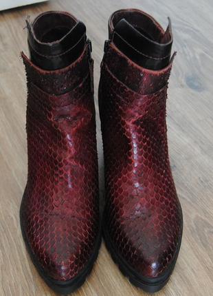 Шкіряні черевики ботильйони  mjus / кожаные ботинки3 фото