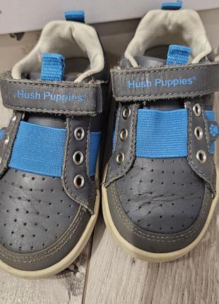 Шкіряні кросівки на хлопчика hush puppies, розмір 23-24, us 72 фото