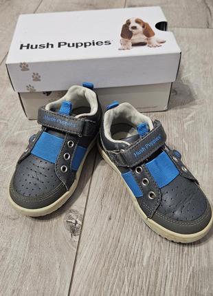Кожаные кроссовки на мальчика hush puppies, размер 23-24, us 7