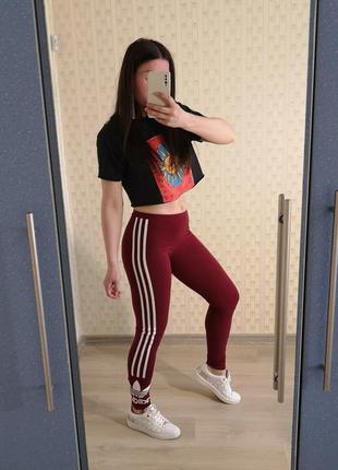 Лосины adidas, спортивные лосины, спортивный костюм adidas, nike, puma1 фото