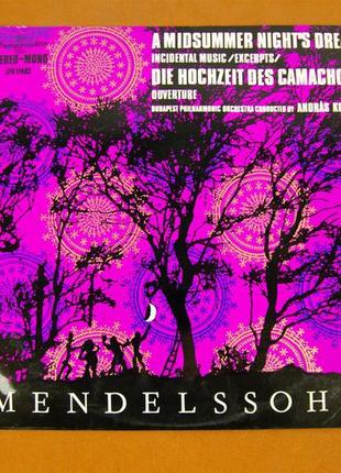 Виниловая пластинка mendelssohn 1982 (№97)