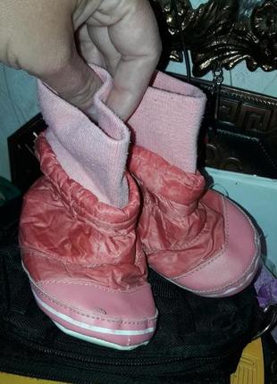 Тапочки