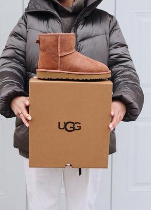 Угги ugg mini mole уггі сапоги ботинки1 фото