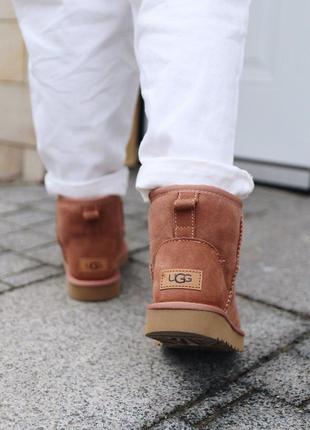 Угги ugg mini mole уггі сапоги ботинки5 фото