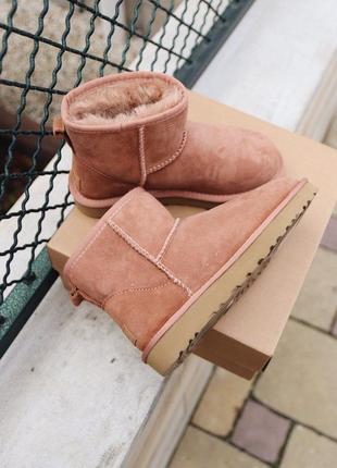 Угги ugg mini mole уггі сапоги ботинки6 фото