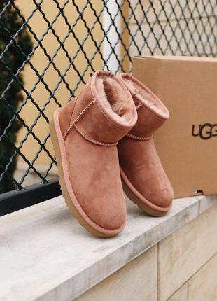 Угги ugg mini mole уггі сапоги ботинки8 фото