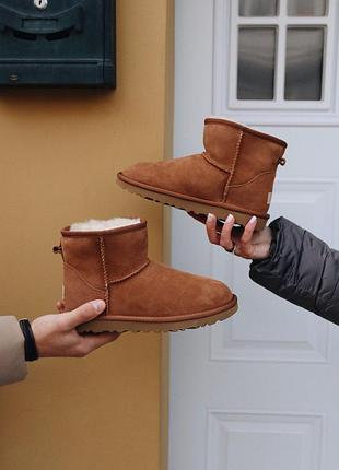 Угги ugg mini chestnut  уггі сапоги ботинки