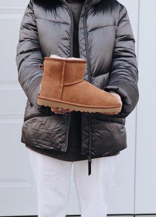 Уггі ugg mini chestnut уггі чоботи черевики10 фото