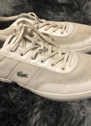 Lacoste2 фото