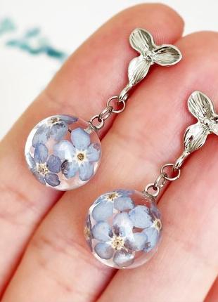Серьги с незабудками. украшения из настоящих цветов голубые незабудки (модель № 2842) glassy flowers8 фото