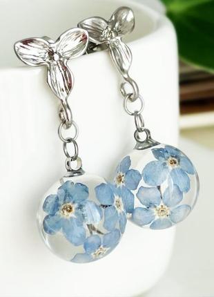 Серьги с незабудками. украшения из настоящих цветов голубые незабудки (модель № 2842) glassy flowers5 фото