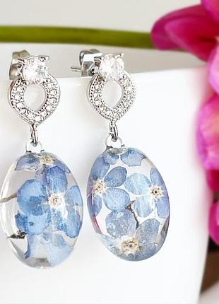 Серьги с незабудками. украшения из настоящих цветов голубые незабудки (модель № 2858) glassy flowers