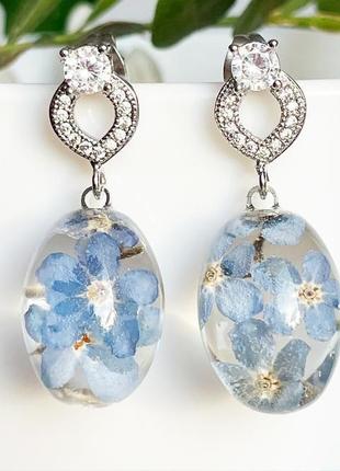 Серьги с незабудками. украшения из настоящих цветов голубые незабудки (модель № 2858) glassy flowers5 фото