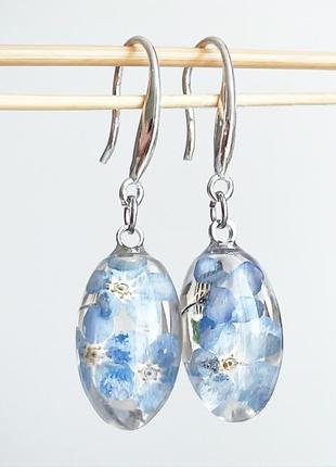 Серьги с незабудками. украшения из настоящих цветов голубые незабудки (модель № 2859) glassy flowers