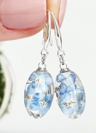 Серьги с незабудками. украшения из настоящих цветов голубые незабудки (модель № 2859) glassy flowers3 фото