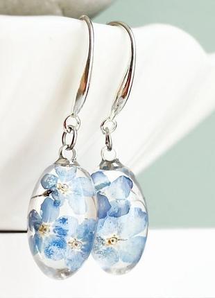 Серьги с незабудками. украшения из настоящих цветов голубые незабудки (модель № 2859) glassy flowers7 фото