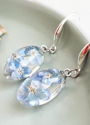 Серьги с незабудками. украшения из настоящих цветов голубые незабудки (модель № 2859) glassy flowers2 фото