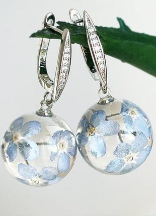 Серьги с незабудками. украшения из настоящих цветов голубые незабудки (модель № 2850) glassy flowers7 фото