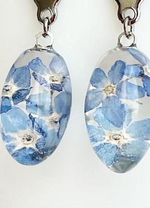 Серьги с незабудками. украшения из настоящих цветов голубые незабудки (модель № 2860) glassy flowers3 фото