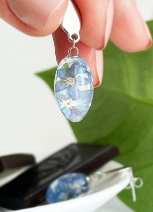 Серьги с незабудками. украшения из настоящих цветов голубые незабудки (модель № 2860) glassy flowers8 фото