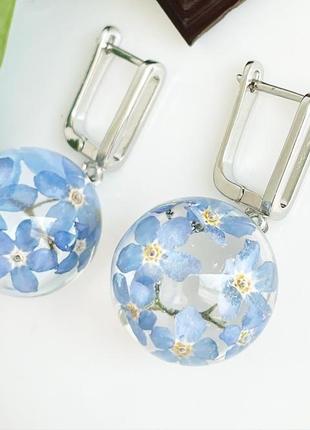 Серьги с незабудками. украшения из настоящих цветов голубые незабудки (модель № 2854) glassy flowers4 фото