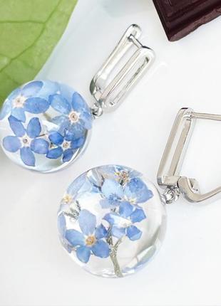 Серьги с незабудками. украшения из настоящих цветов голубые незабудки (модель № 2854) glassy flowers7 фото