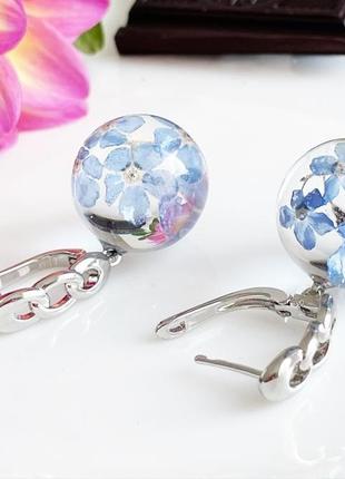 Серьги с незабудками. украшения из настоящих цветов голубые незабудки (модель № 2855) glassy flowers6 фото