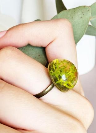 Мох колечко с мхом стильное кольцо с лесным мхом вечнозелёное (модель № 1479) glassy flowers4 фото